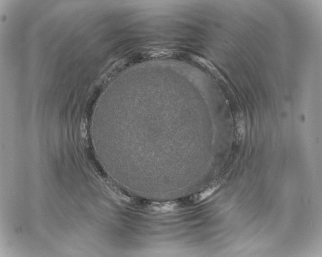 X0000070210667200606161643