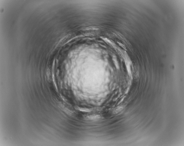 X0000070210669200606161643