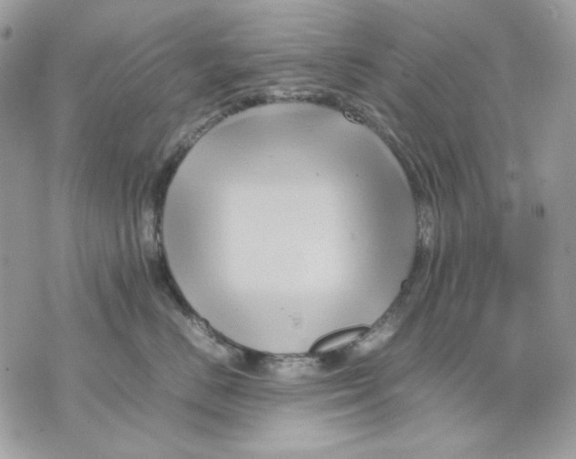 X0000070210670200606161643