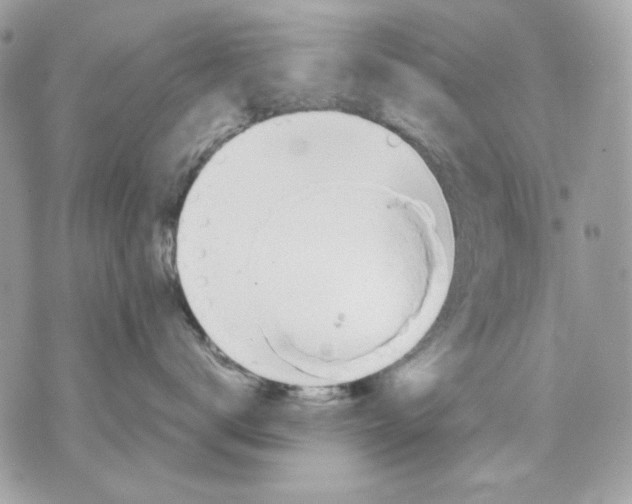 X0000070210672200606161643