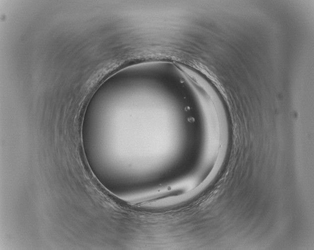 X0000070210673200606161642