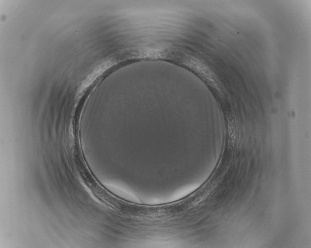 X0000070210674200606161642