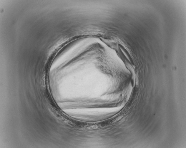 X0000070210675200606161642