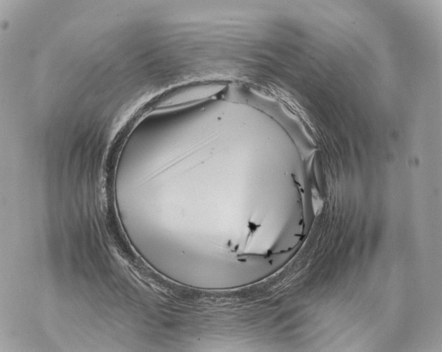 X0000070210676200606161642