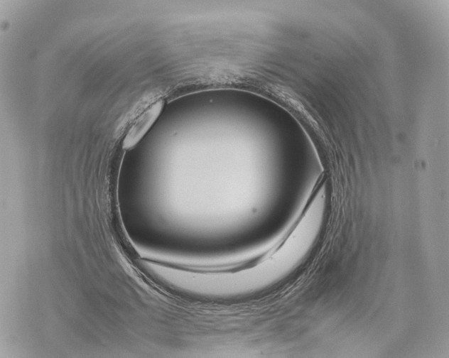 X0000070210677200606161642