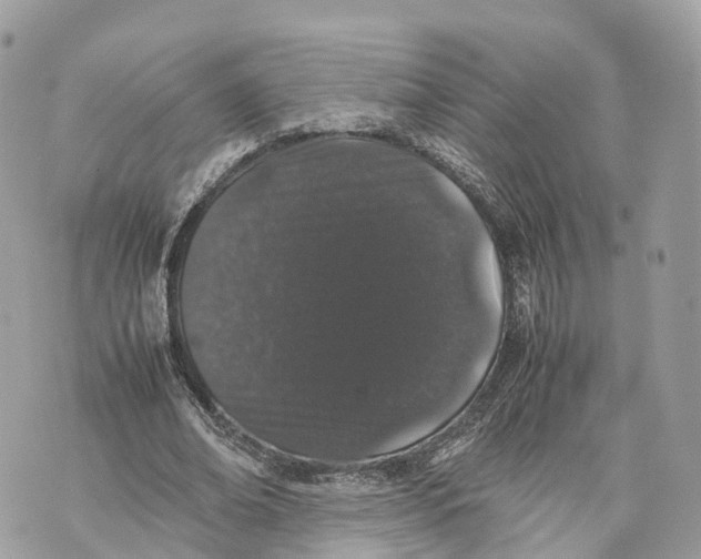 X0000070210678200606161642