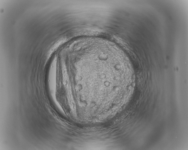 X0000070210679200606161642