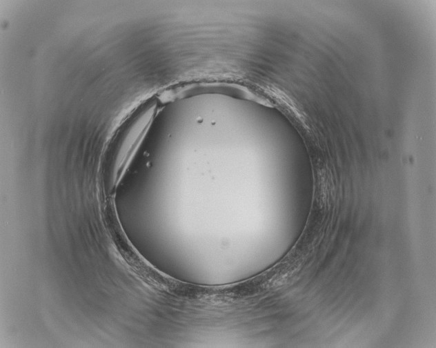 X0000070210680200606161642