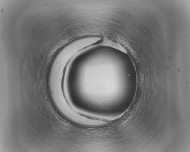 X0000070210681200606161642