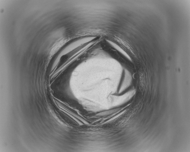 X0000070210682200606161642