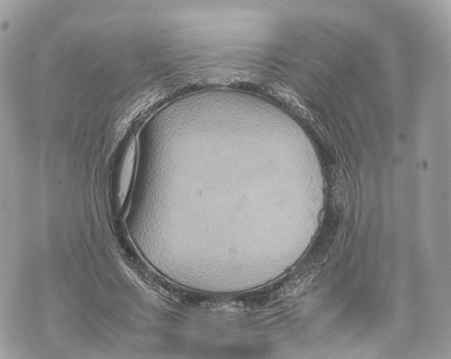 X0000070210683200606161642