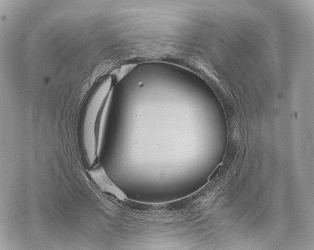 X0000070210685200606161642