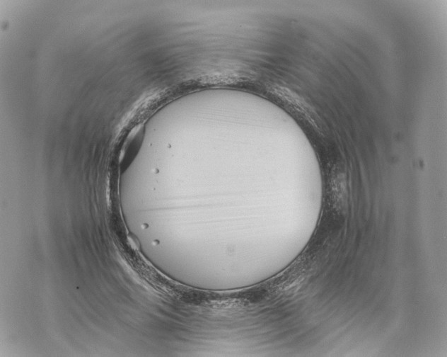 X0000070210686200606161642