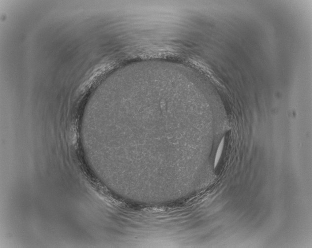 X0000070210687200606161642