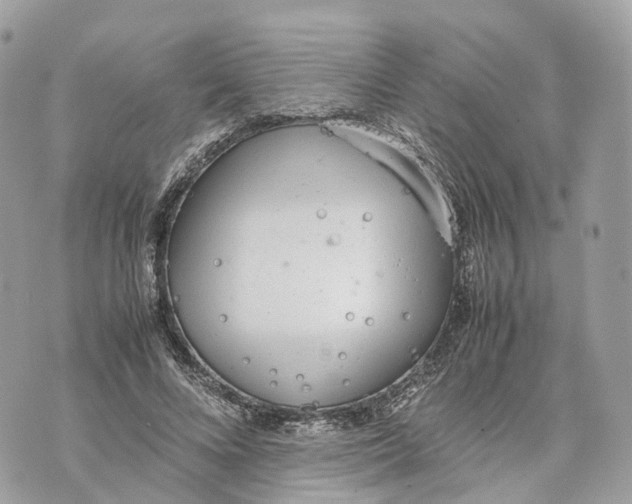 X0000070210688200606161642