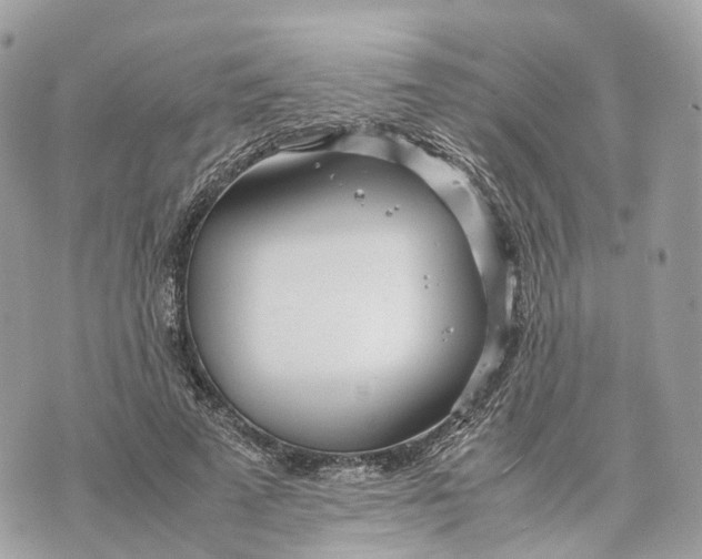 X0000070210689200606161642