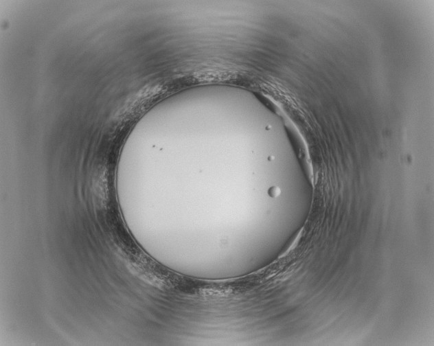 X0000070210690200606161642