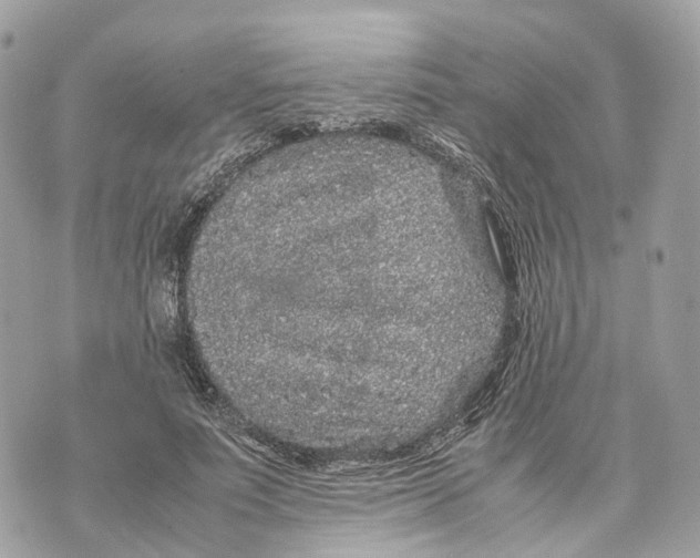 X0000070210691200606161642