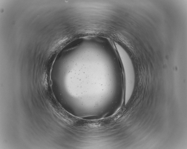 X0000070210692200606161642