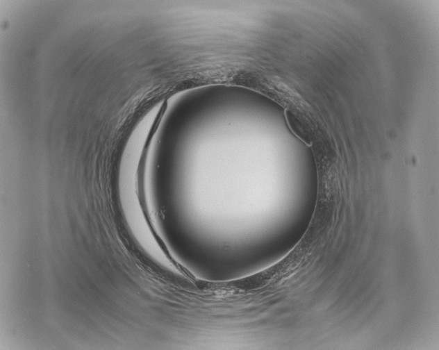 X0000070210693200606161642