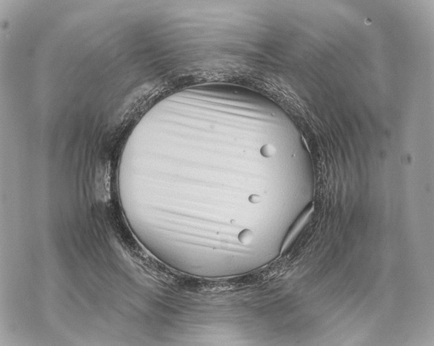 X0000070210694200606161642