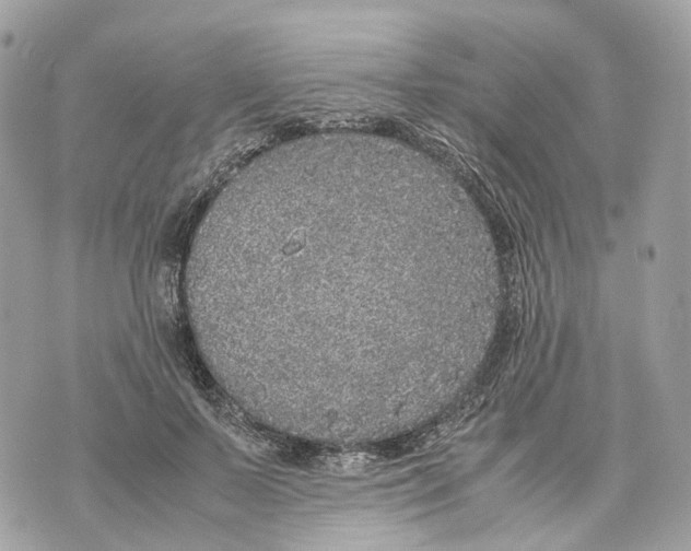 X0000070210695200606161642