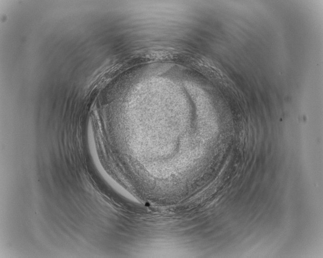 X0000070210696200606161642