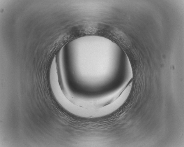 X0000070210697200606161642