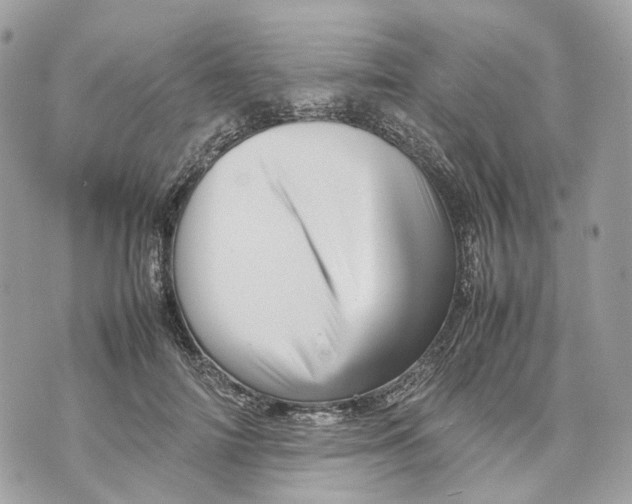 X0000070210698200606161642