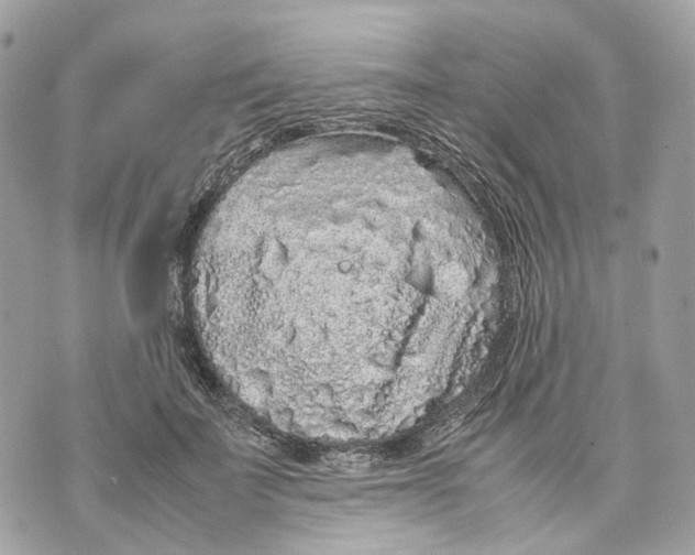 X0000070210699200606161642