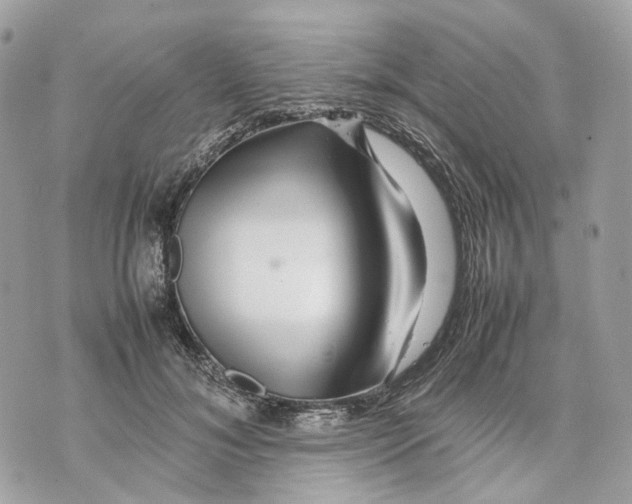 X0000070210700200606161642