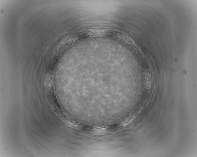 X0000070210701200606161642