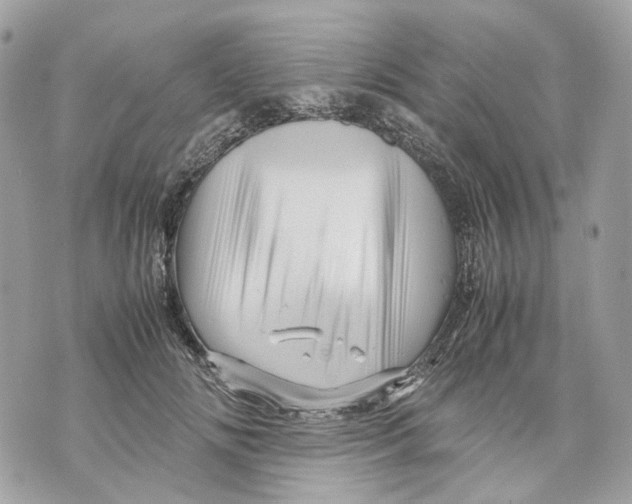 X0000070210702200606161642