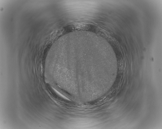 X0000070210703200606161642