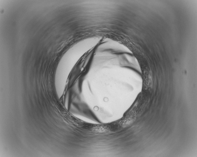 X0000070210704200606161642