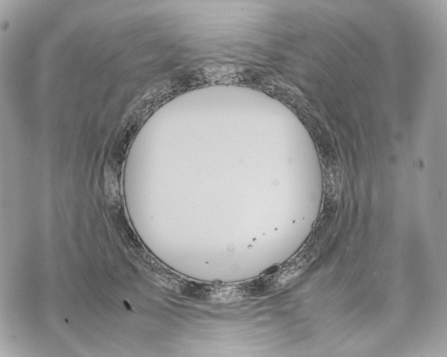 X0000070210705200606161642