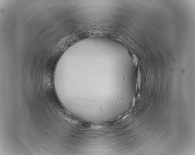 X0000070210706200606161642