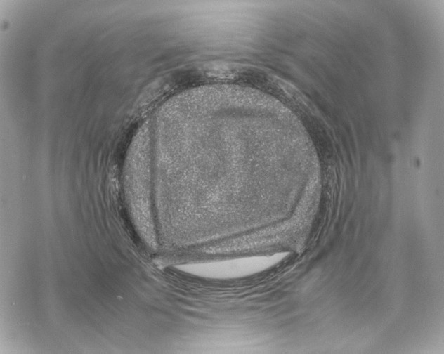 X0000070210707200606161642