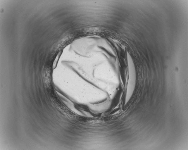 X0000070210708200606161642