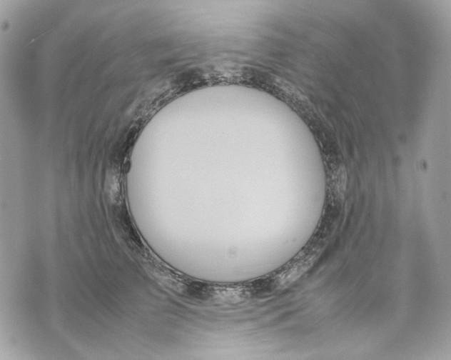 X0000070210709200606161642