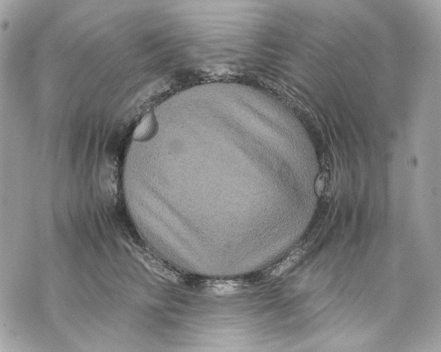 X0000070210710200606161642