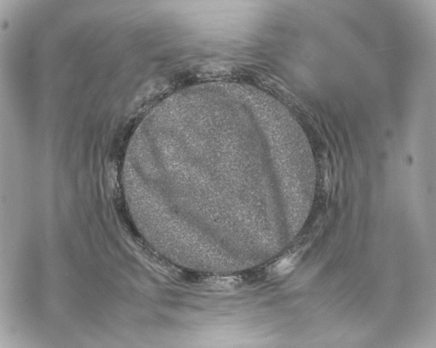 X0000070210711200606161642