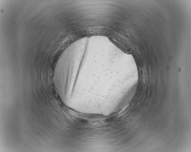 X0000070210712200606161642