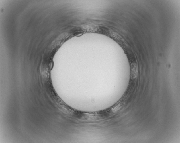 X0000070210713200606161642