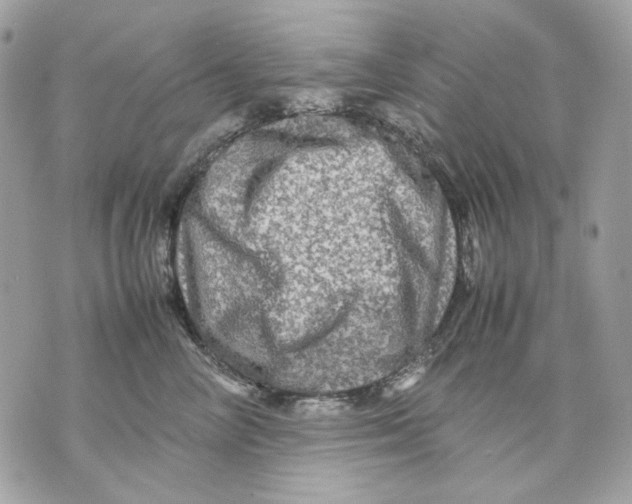 X0000070210714200606161642