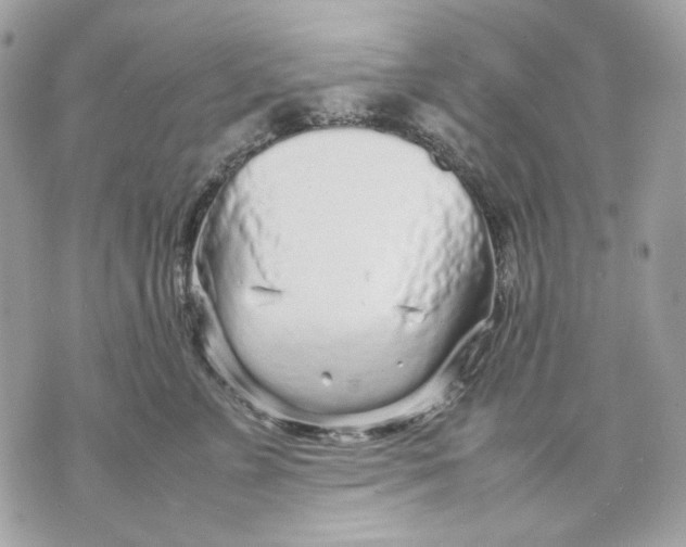 X0000070210715200606161641