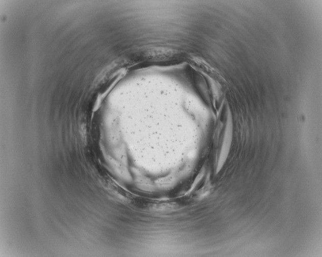 X0000070210716200606161641