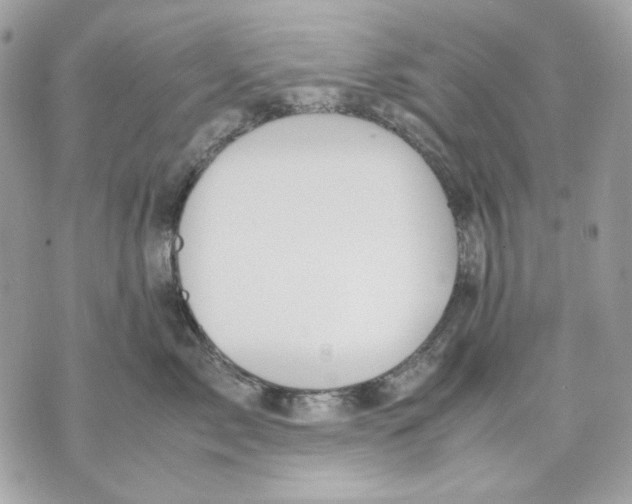 X0000070210717200606161641