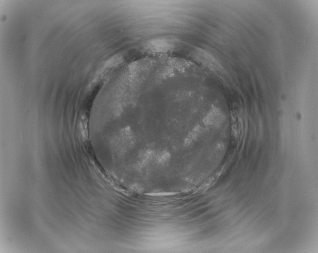 X0000070210718200606161641