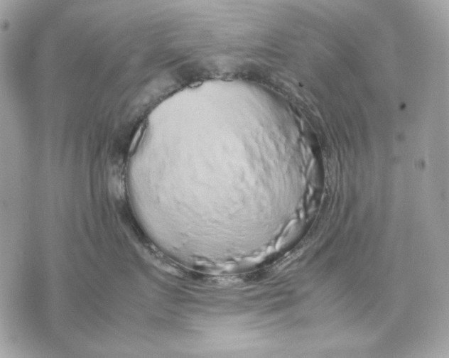 X0000070210719200606161641